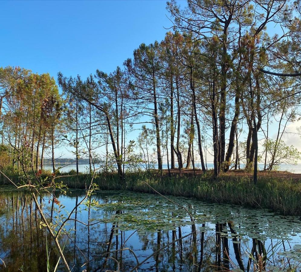 Apt Les Grands Pins, Entre Foret, Lac Et Ocean Carcans Dış mekan fotoğraf