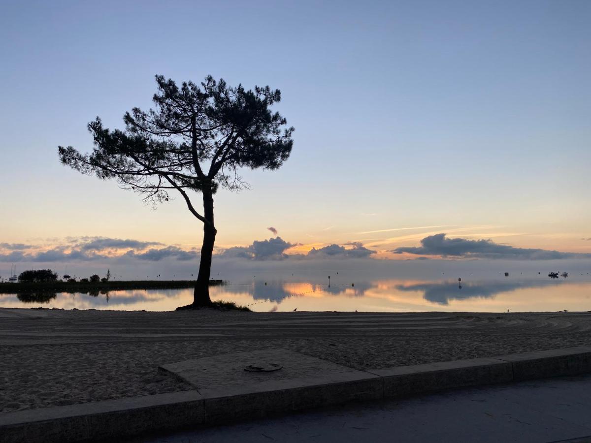 Apt Les Grands Pins, Entre Foret, Lac Et Ocean Carcans Dış mekan fotoğraf