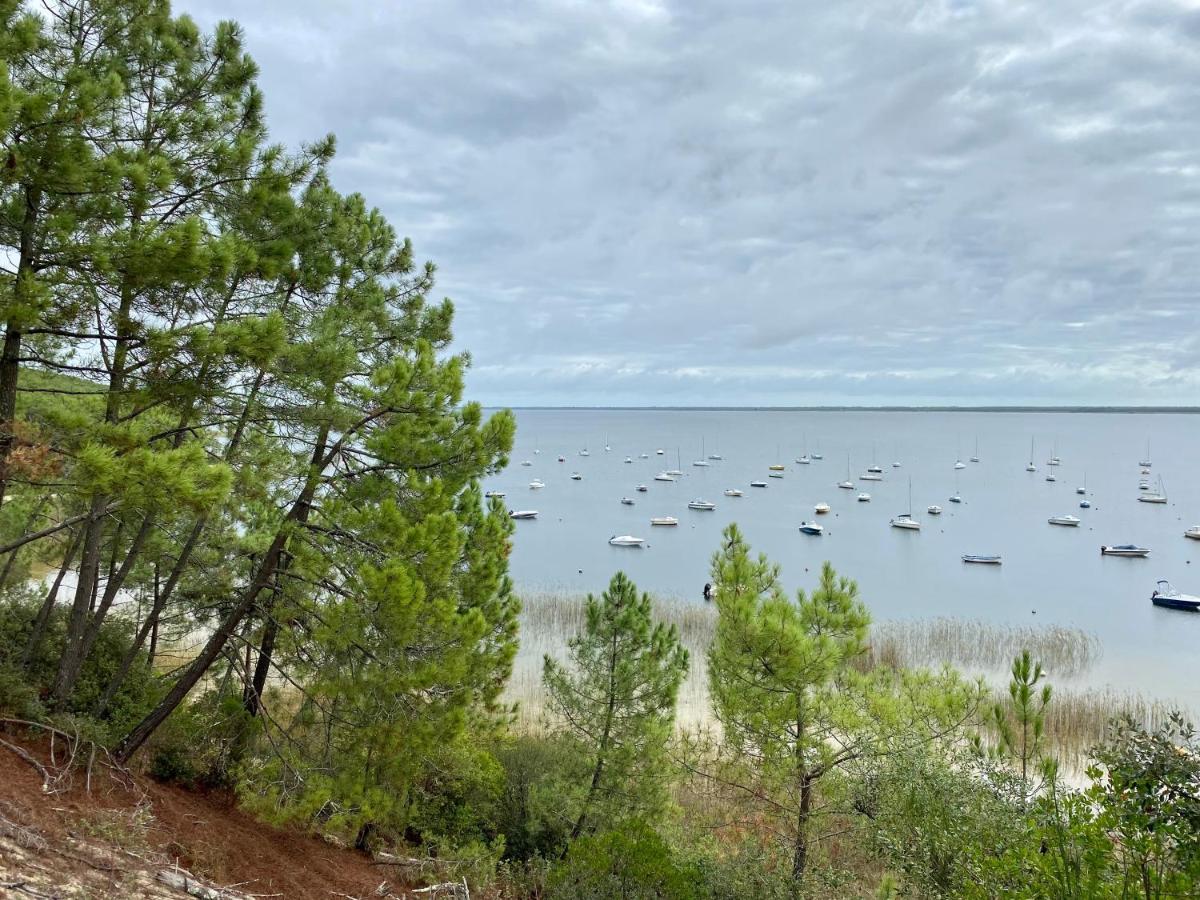 Apt Les Grands Pins, Entre Foret, Lac Et Ocean Carcans Dış mekan fotoğraf