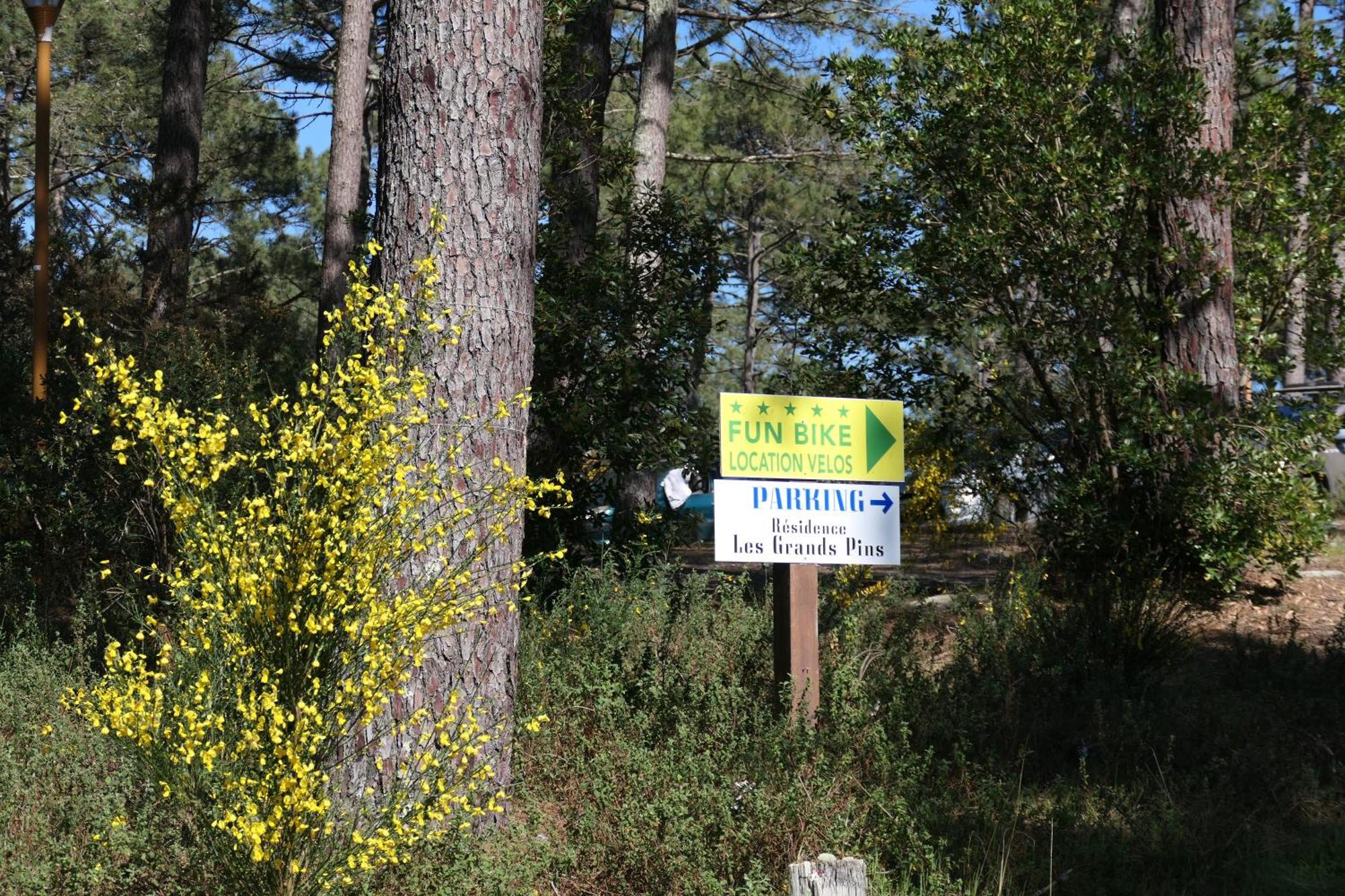 Apt Les Grands Pins, Entre Foret, Lac Et Ocean Carcans Dış mekan fotoğraf